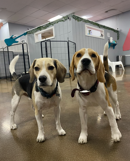 Cowboy & Rufus